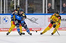 Eishockey, U20, DNL, Saison 2024-2025, ERC Ingolstadt - Krefelder EV 81, 01.03.2025