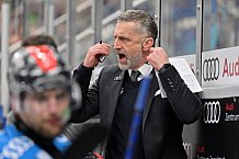 Eishockey, Herren, DEL, Saison 2023-2024, Spieltag 40, ERC Ingolstadt - Schwenninger Wild Wings, 21.01.2024