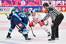 Hockey, Mens, CHL, Season 2025-2026, Regular Season, Round of 16, ERC Ingolstadt - EC Red Bull Salzburg, 12.11.2025