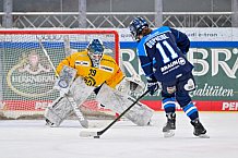 Eishockey, Frauen, DFEL, Saison 2025-2026, Testspiel, ERC Ingolstadt - HC Davos, 14.02.2026
