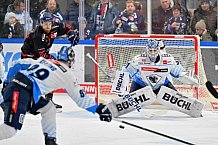 Eishockey, Herren, DEL, Saison 2024-2025, Spieltag 39, Straubing Tigers - ERC Ingolstadt, 24.01.2025