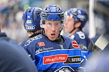 Eishockey, Herren, DEL, Saison 2026-2027, Testspiel, ERC Ingolstadt - EV Zug, 04.09.2026