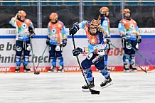 Eishockey, Frauen, DFEL, Saison 2024-2025, ERC Ingolstadt - ECDC Memmingen Indians, 16.11.2024