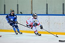 Eishockey, Frauen, DFEL, Saison 2023-2024, ERC Ingolstadt - ECDC Memmingen Indians, 21.01.2024
