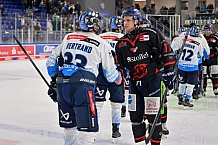 Eishockey, Herren, DEL, Saison 2024-2025, Spieltag 39, Straubing Tigers - ERC Ingolstadt, 24.01.2025