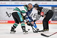 Eishockey, Frauen, European Womens Hockey League, Saison 2024-2025, ERC Ingolstadt - Lakers Kärnten, 13.09.2024