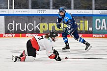 Eishockey, Frauen, DFEL, Saison 2025-2026, ERC Ingolstadt - HK Budapest, 15.11.2025
