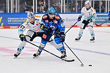 Eishockey, Herren, DEL, Saison 2025-2026, Spiel 23, ERC Ingolstadt - Dresdner Eislöwen, 28.11.2025