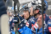 Eishockey, Herren, DEL, Saison 2024-2025, Spieltag 14, ERC Ingolstadt - Löwen Frankfurt, 31.10.2024