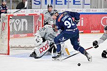 Eishockey, Herren, DEL, Saison 2024-2025, Playoffs Halbfinale, Spiel 5, ERC Ingolstadt - Kölner Haie, 11.04.2025