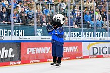 Eishockey, Herren, DEL, Saison 2026-2027, Spieltag 10, ERC Ingolstadt - Augsburger Panther, 18.10.2026