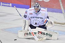 ERC Ingolstadt vs Eisbären Berlin, DEL, Deutsche Eishockey Liga, Spieltag 49, 22.02.2019