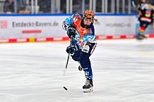 Eishockey, Frauen, DFEL, Saison 2024-2025, ERC Ingolstadt - EC Bergkamener Bären, 05.01.2025