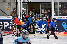 Eishockey, Herren, DEL, Saison 2023-2024, ERC Ingolstadt - Kids on Ice Day, 18.11.2023