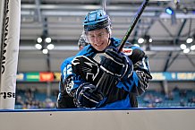 Eishockey, Herren, DEL, Saison 2025-2026, Spiel 16, ERC Ingolstadt - Kölner Haie, 31.10.2025