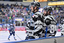 Eishockey, Herren, DEL, Saison 2024-2025, Spieltag 8, ERC Ingolstadt - Grizzlys Wolfsburg, 11.10.2024