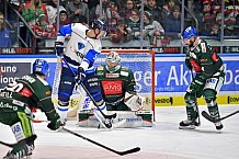 Augsburger Panther vs ERC Ingolstadt, Eishockey, DEL, Deutsche Eishockey Liga, Spieltag 42, 25.01.2019