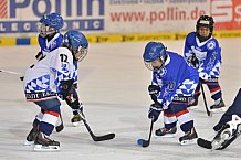 ERC Ingolstadt vs Straubing Tigers, Eishockey, DEL, Deutsche Eishockey Liga, 22.12.2015