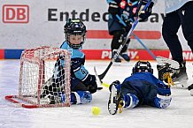 Eishockey, Herren, DEL, Saison 2023-2024, ERC Ingolstadt - Kids on Ice Day, 18.11.2023