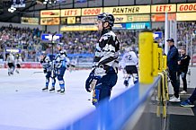 Eishockey, Herren, DEL, Saison 2024-2025, Playoffs Viertelfinale, Spiel 1, ERC Ingolstadt - Nürnberg Ice Tigers, 16.03.2025