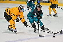 Eishockey, Herren, DEL, Saison 2026-2027, ERC Ingolstadt - HC Verva Litvinov - Steinbach Black Wings Linz, 22.08.2026