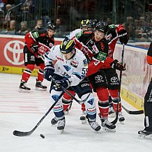 Koelner Haie - ERC Ingolstadt, Eishockey, Herren, Maenner, DEL, Spieltag 13, 23.10.2015