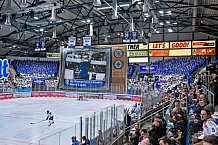 Eishockey, Herren, DEL, Saison 2023-2024, Spieltag 39, ERC Ingolstadt - Iserlohn Roosters, 19.01.2024