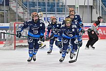 Eishockey, Frauen, DFEL, Saison 2024-2025, ERC Ingolstadt - Mad Dogs Mannheim, 23.11.2024