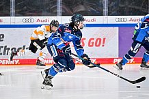 Eishockey, Nachwuchs, U17, DEB, Saison 2024-2025, ERC Ingolstadt - EV Füssen, 15.02.2025