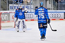 Eishockey, Herren, DEL, Saison 2025-2026, Spiel 16, ERC Ingolstadt - Kölner Haie, 31.10.2025
