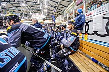 ERC Ingolstadt - Duesseldorfer EG, Eishockey, DEL, Deutsche Eishockey Liga, Spieltag 50, 21.02.2017