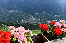 Trainingslager vor dem Vinschgau Cup, 22.08.2019