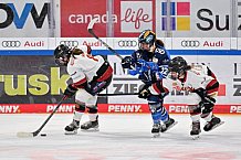 Eishockey, Frauen, DFEL, Saison 2023-2024, ERC Ingolstadt - EC Bergkamener Bären, 28.10.2023