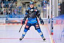 Eishockey, Herren, DEL, Saison 2025-2026, Spiel 22, ERC Ingolstadt - Eisbären Berlin, 26.11.2025