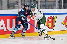 Eishockey, Mens, CHL, Season 2023-2024, ERC Ingolstadt - Färjestad Karlstad, 02.09.2023