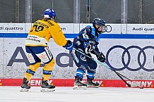 Eishockey, Frauen, DFEL, Saison 2025-2026, Testspiel, ERC Ingolstadt - HC Davos, 14.02.2026