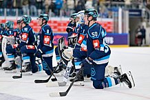 Hockey, Mens, CHL, Season 2025-2026, Regular Season, Round of 16, ERC Ingolstadt - EC Red Bull Salzburg, 12.11.2025