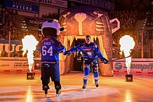 Eishockey, Herren, DEL, Saison 2026-2027, Spieltag 8, ERC Ingolstadt - Löwen Frankfurt, 11.10.2026