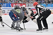 Eishockey, Herren, DEL, Saison 2023-2024, Spieltag 51, ERC Ingolstadt - Kölner Haie, 03.03.2024
