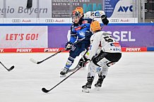 Eishockey, Herren, DEL, Saison 2023-2024, Playoffs Viertelfinale - Spiel 2, ERC Ingolstadt - Fischtown Pinguins , 20.03.2024