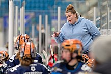 Eishockey, Frauen, European Womens Hockey League, Saison 2024-2025, ERC Ingolstadt - Lakers Kärnten, 13.09.2024