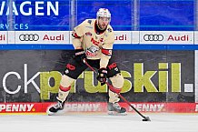 Eishockey, Herren, DEL, Saison 2024-2025, Playoffs Viertelfinale, Spiel 3, ERC Ingolstadt - Nürnberg Ice Tigers, 21.03.2025
