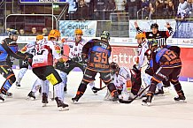 ERC Ingolstadt vs Fischtown Pinguins, Eishockey, DEL, Deutsche Eishockey Liga, Spieltag 16, 25.10.2017