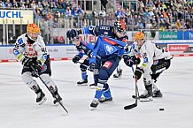 Eishockey, Herren, DEL, Saison 2023-2024, Spieltag 45, ERC Ingolstadt - Fischtown Pinguins, 27.02.2024