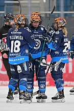 Eishockey, Frauen, DFEL, Saison 2024-2025, ERC Ingolstadt - EC Bergkamener Bären, 04.01.2025