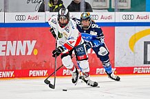 Eishockey, Frauen, DFEL, Saison 2023-2024, ERC Ingolstadt - ECDC Memmingen Indians, 07.10.2023