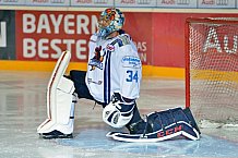 ERC Ingolstadt vs Iserlohn Roosters, Eishockey, DEL, Deutsche Eishockey Liga, Spieltag 14, 26.10.2016