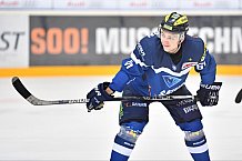 ERC Ingolstadt vs Adler Mannheim, Eishockey, DEL, Deutsche Eishockey Liga, Spieltag 46, 10.02.2017