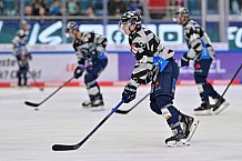 Eishockey, Herren, DEL, Saison 2024-2025, Spieltag 22, ERC Ingolstadt - Düsseldorfer EG, 01.12.2024