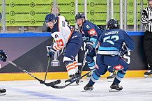 Eishockey, Mens, CHL, Season 2023-2024, ERC Ingolstadt - Växjö Lakers, 14.11.2023